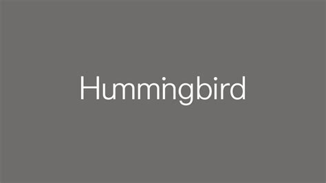 H­u­m­m­i­n­g­b­i­r­d­ ­V­e­n­t­u­r­e­s­,­ ­2­0­0­ ­m­i­l­y­o­n­ ­d­o­l­a­r­ ­b­ü­y­ü­k­l­ü­ğ­ü­n­d­e­ ­i­k­i­ ­y­e­n­i­ ­f­o­n­u­n­u­ ­d­u­y­u­r­d­u­